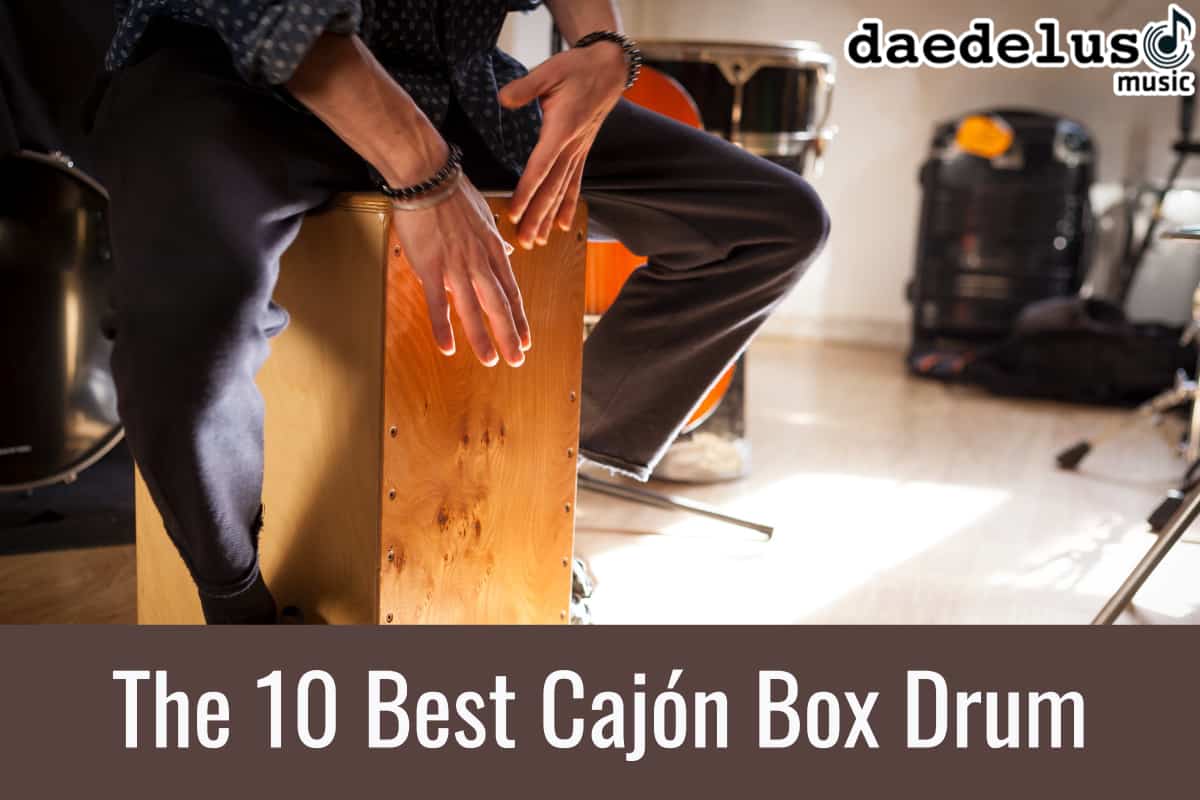 The Best Cajón Box Drum 2020 Daedelus Music Reviews