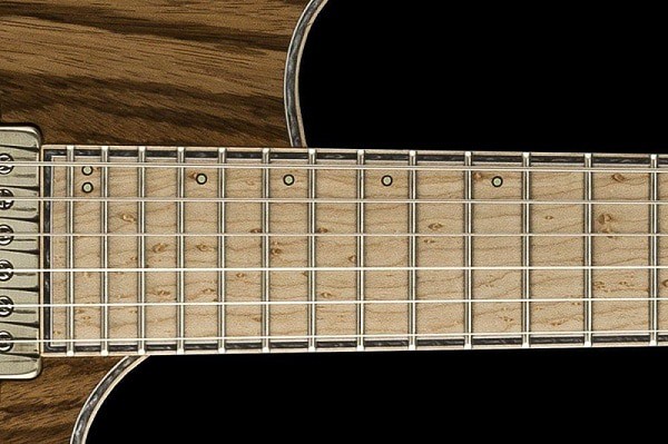 Choosing Right Fretboard Wood – The Ultimate Luthier Guide