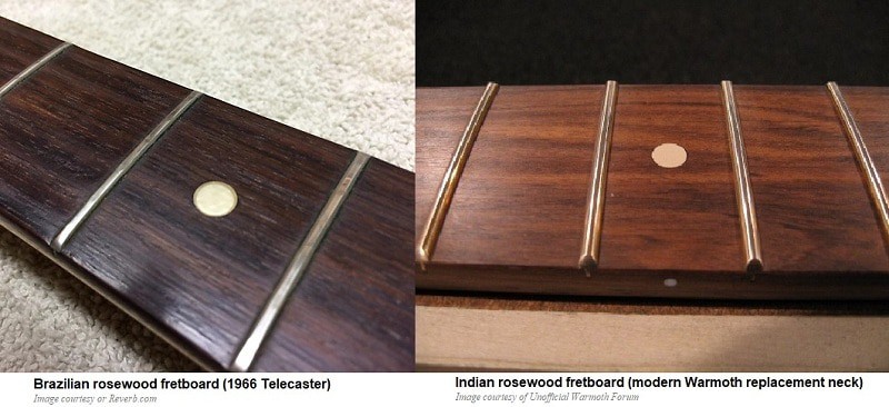 Choosing Right Fretboard Wood – The Ultimate Luthier Guide